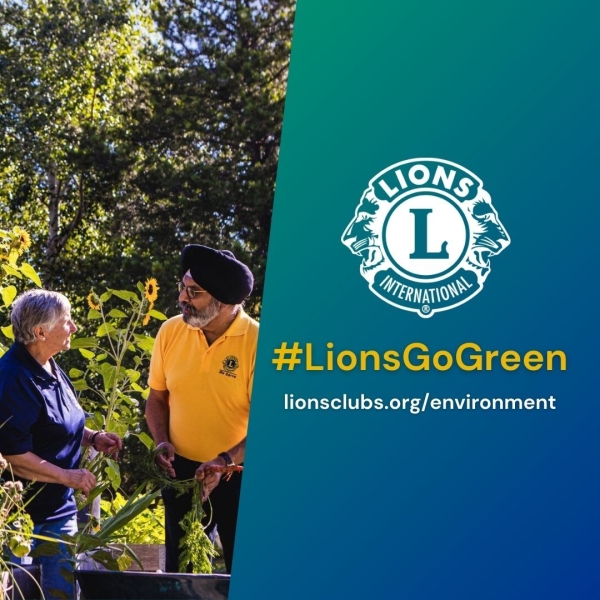 431313468_971188894560657_556459243658209444_n